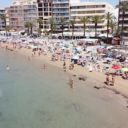Mimoza * Torrevieja