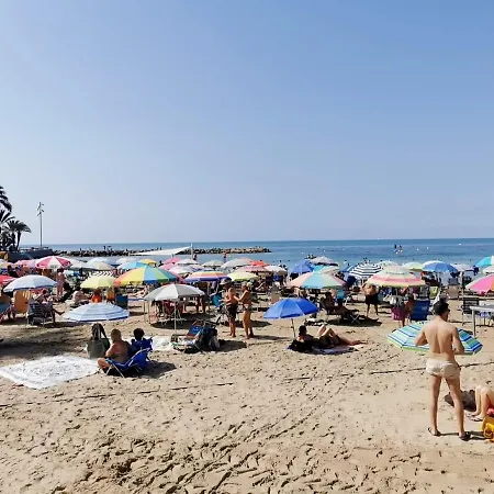 Mimoza Торевьиа