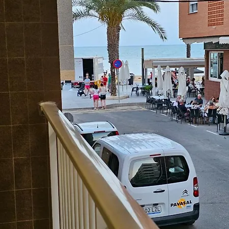 Mimoza * Торевьиа