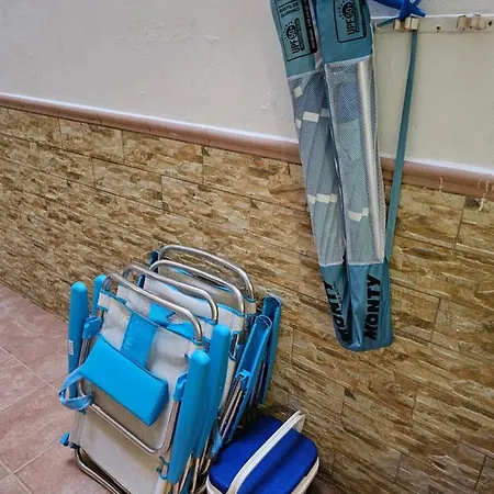 Mimoza Торевьиа